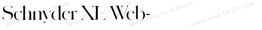 Schnyder XL Web字体转换